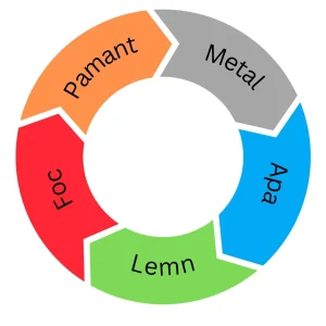 Ciclul celor 5 elemente - acupunctura emotionala - Aureliana Corcodel